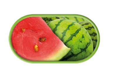 Púzdro so zrkadielkom motív Ovocie - Melón