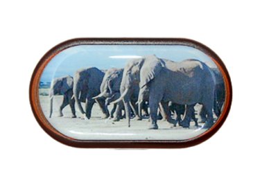 Púzdro so zrkadielkom Divoká zvieratá - Slon