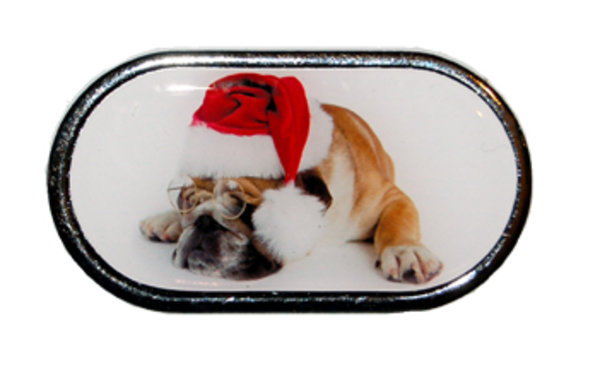 Púzdro so zrkadielkom Vianočný motív - Pes v okuliaroch