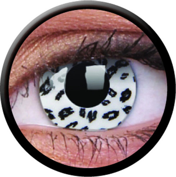 ColourVue Crazy šošovky - White Leopard (2 ks trojmesačné) - nedioptrické