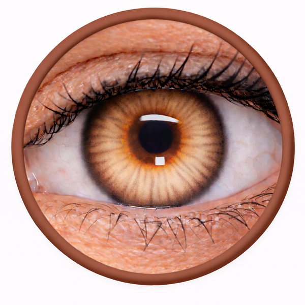 Phantasee Nulook - Misty Brown (2 šošovky mesačné) - nedioptrické