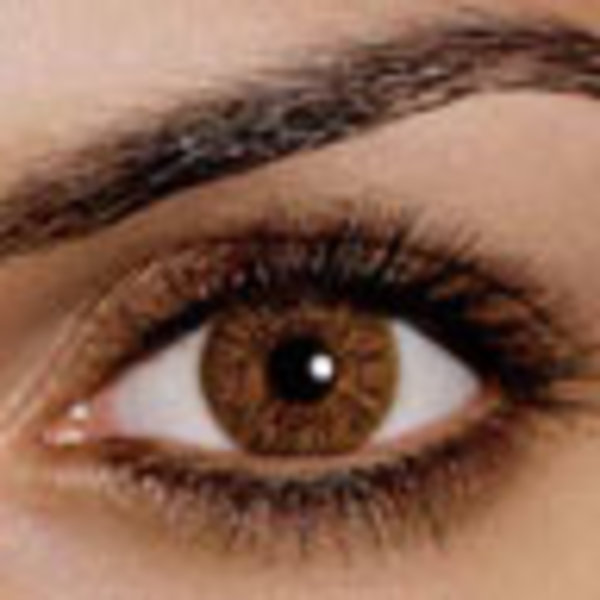 FreshLook One Day Color - Pure Hazel (10 šošoviek) - nedioptrické