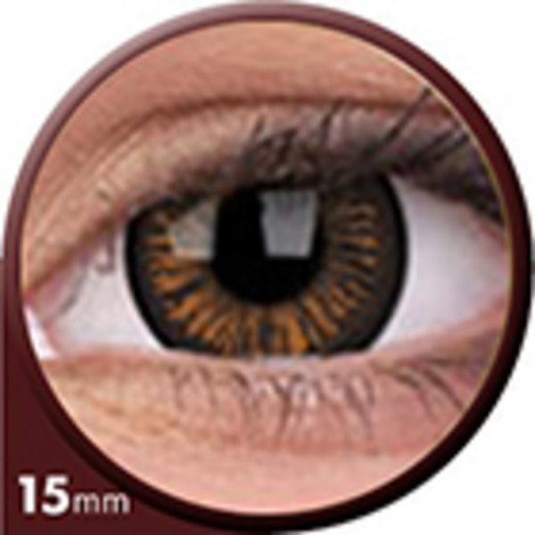 Phantasee Big Eyes - Charming Brown (2 šošovky trojmesačné) - dioptrické -1,00 exp. 07/21